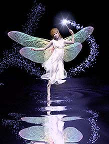Art copyright  Robin Wood 1999, used by permission